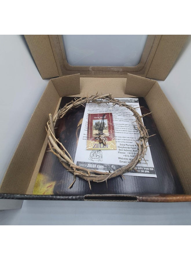 Zuluf Jerusalem Authentic Biblical Lifesize Real Crown of Thorns with Box & Certificate - Image 5